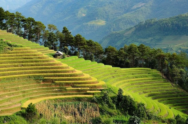 Vietnam scenic beauty landscapes