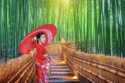 China Vacation - Bamboo Trees