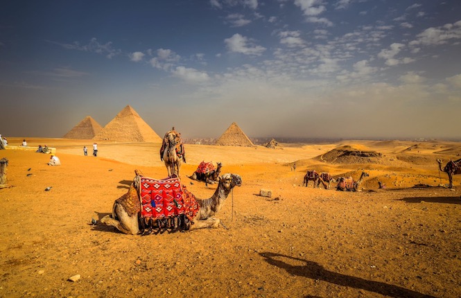 camel riding or camel safari in egypt things to do